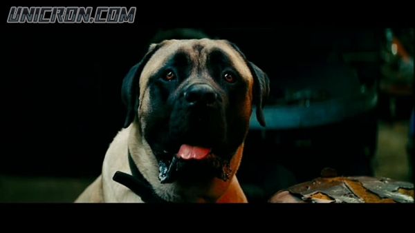 snap cap00622 snap cap00622