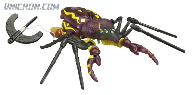 BW10tarantulas1 BW10tarantulas1