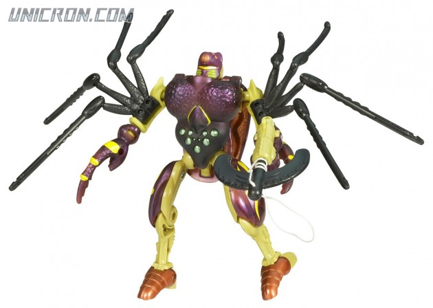 BW10tarantulas2 BW10tarantulas2