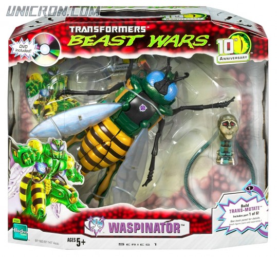 BW10waspinator0 BW10waspinator0