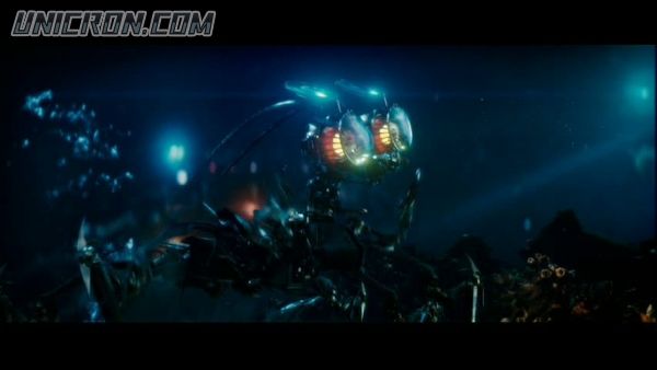 snap cap00685 snap cap00685