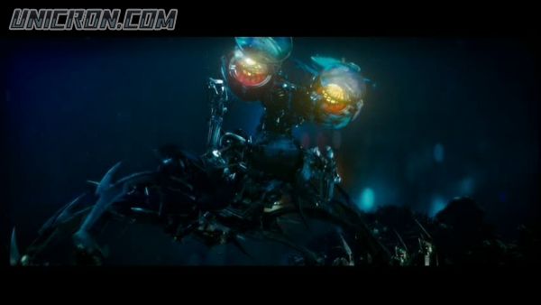 snap cap00686 snap cap00686