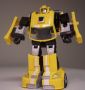bumblebee2a