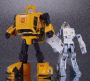 Bumblebee9