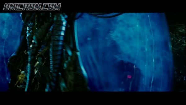 tf rotf00008 tf rotf00008