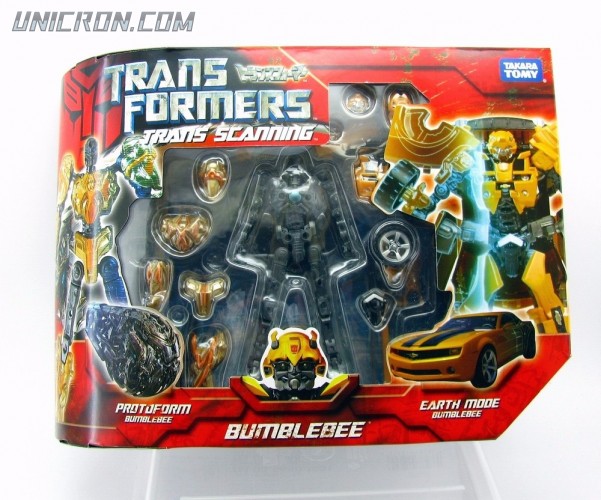 TransScanningBumblebee00 TransScanningBumblebee00