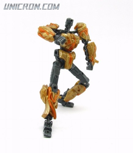TransScanningBumblebee02 TransScanningBumblebee02