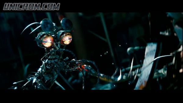 tf rotf00239 tf rotf00239