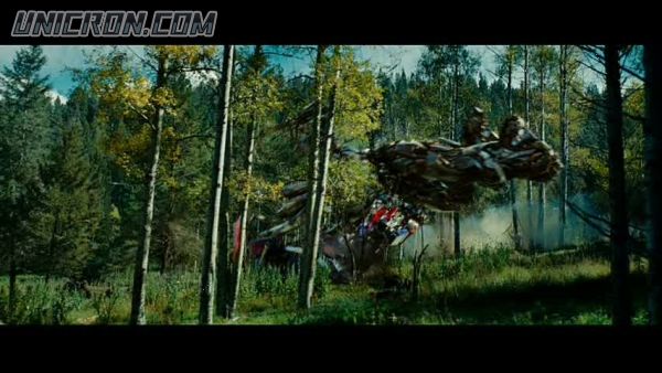 tf rotf00299 tf rotf00299