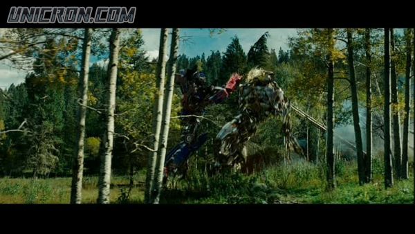 tf rotf00301 tf rotf00301