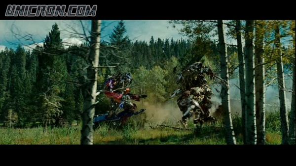 tf rotf00302 tf rotf00302