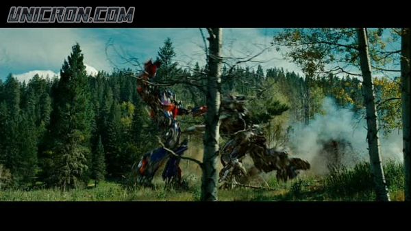 tf rotf00303 tf rotf00303