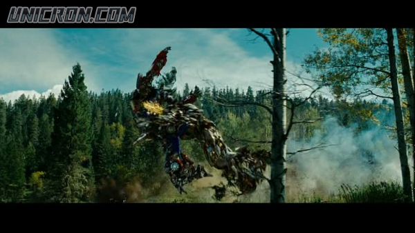 tf rotf00306 tf rotf00306