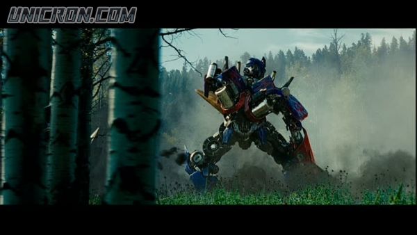 tf rotf00309 tf rotf00309