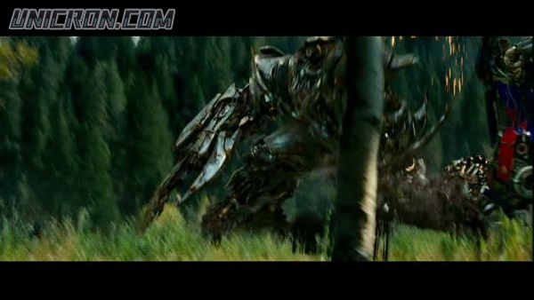 tf rotf00317 tf rotf00317