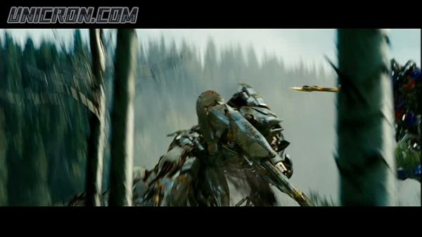 tf rotf00318 tf rotf00318