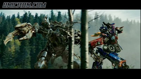 tf rotf00323 tf rotf00323