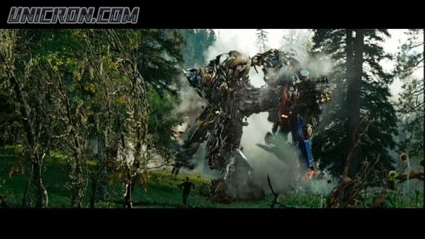 tf rotf00349 tf rotf00349