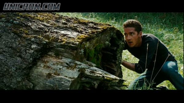 tf rotf00369 tf rotf00369