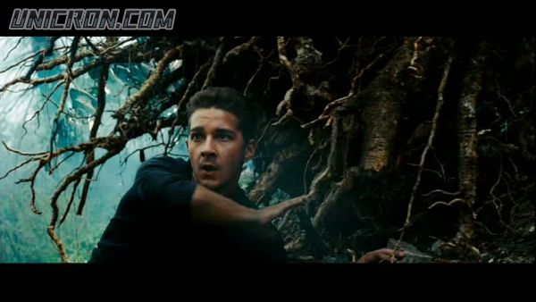 tf rotf00393 tf rotf00393