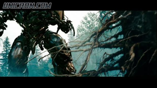 tf rotf00394 tf rotf00394