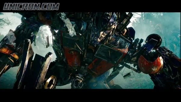 tf rotf00397 tf rotf00397