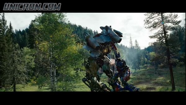 tf rotf00445 tf rotf00445