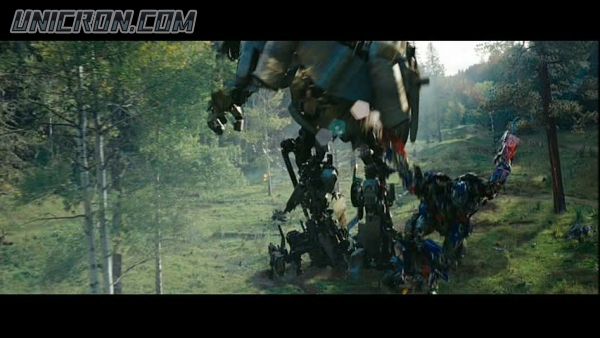 tf rotf00446 tf rotf00446