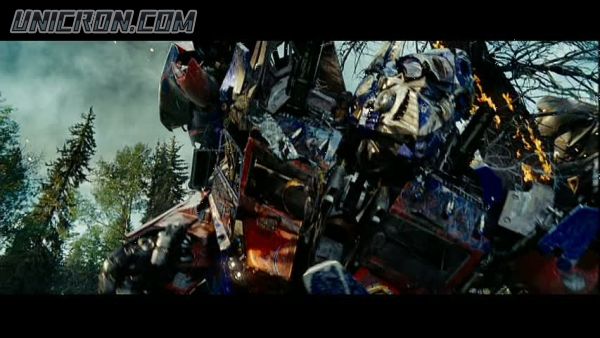 tf rotf00447 tf rotf00447