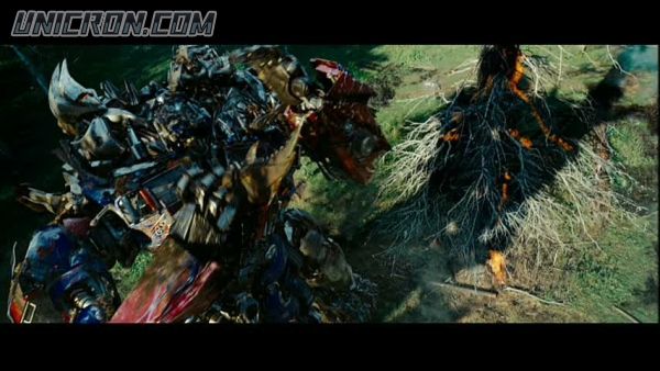 tf rotf00456 tf rotf00456