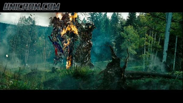 tf rotf00460 tf rotf00460