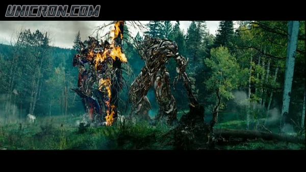 tf rotf00461 tf rotf00461