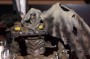 Transformers 3 Dark of the Moon Megatron (Voyager) toy